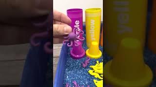 Learn Color Purple with Sea Animals Toys