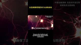 女生高潮时阴道为什么会吸会动？ #知识科普  #科普 #男生必看 #女生必看 #夫妻生活 #生理 #physiological #knowledge #popularscience #like