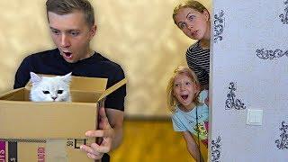 Что За КОТЯТА в КОРОБКЕ у ПАПЫ? Милана и МАМА не ЗНАЮТ об ЭТОМ! Скетчи от Family Box