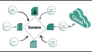 Media Content Preservation with Swarm