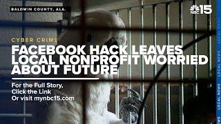 Local nonprofit locked out of social media accounts worries about its future - WPMI NBC 15