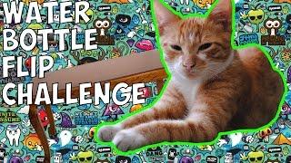 #WaterBottleFlipChallenge || WolfGunOMG