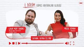 Hayvan Beslenmesinde Bilimsel Gerçekler | Kümes Hayvanları Alerjisi (1. Bölüm)