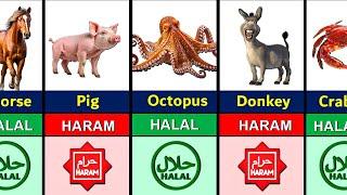 Halal and Haram Animal Meat in Islam