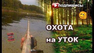 Охота на уток "Хладнокровный подход" Stoeger-2000/