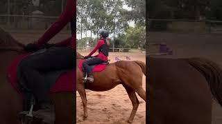 JK was flying!! extending strides exercise #horselife