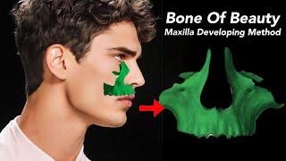 Maxilla The Bone Of Beauty.  Maxilla Developing Method Of Facial Growth