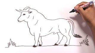 How to draw a bull easily