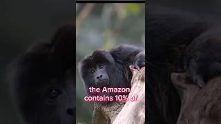 Amazon Jungle # Facts #Sciencefacts # Rainforest # Shorts