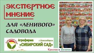 Сибирский Сад. Сорта томатов, перца и баклажанов самые простые в выращивании