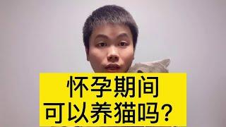 孕期间可以养猫吗？会感染弓形虫吗？医生说需要满足六个条件【普外科曾医生】