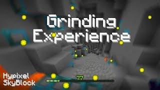 Hypixel SkyBlock experience grinding guide (all the best methods)