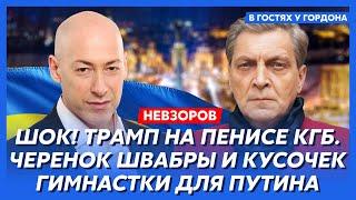 Невзоров. Тайна рождения Путина, его диагноз и детали интима с Трампом. Что произойдет 5 ноября