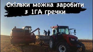 Найвигідніша культура яку ми сіяли‼️⁉️⁉️ Можна заробити і не напрягатись‼️⁉️⁉️