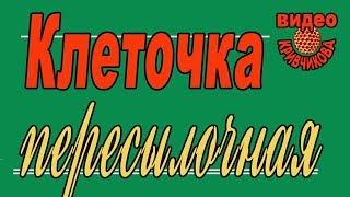 Матководство ч. 6. Клеточка пересылочная.