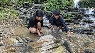 Harvest fish from the stream to sell, hoe the land to make vegetable garden - Homeless Boy