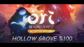 Ori and The Blind Forest Definitive Edition %100 Walkthrough ( Hollow Grove )