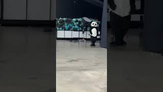 panda did not sign up for this‼️ #dudeperfect #viral #dudeperfectshorts #trickshots #dp #funny