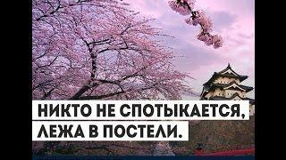 Что делать, когда нет денег! Коротко и ясно!