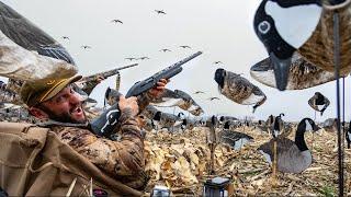 This is How To Trick Smart Geese Hiding Under Corn Ghillie Blankets!!