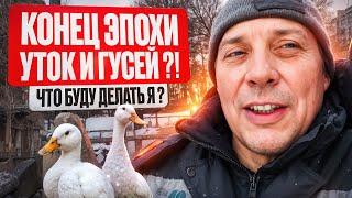 Я В ШОКЕ!  Моя стратегия выживания после новых ВетПравил по птицеводству в 2025 году#МоеПодворье