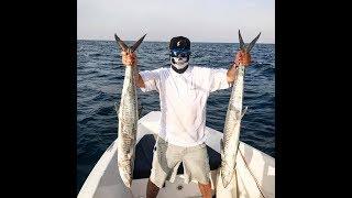 Fishing Trip in Abu Dhabi UAE -  Offshore Casting - King fish -Queen fish - Barracuda - Snapper