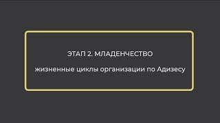 Жизненные циклы организации по Адизесу - Младенчество