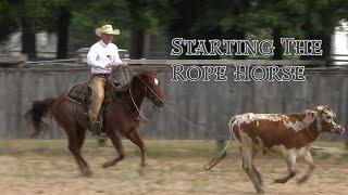 Starting The Rope Horse