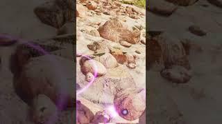 ARK PRIMAL CHAOS #short - THE PERFECT START!! #arkprimalchaos #gaming