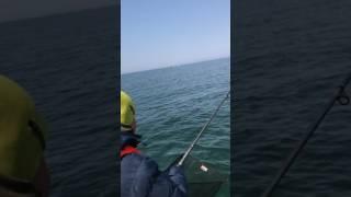 Рыбалка на омуля на Байкале