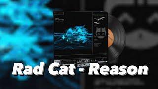 Rad Cat — Reason MVP (CS2 MUSIC KIT)