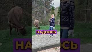 Такого больше никогда не будет #блог #отношения #психология  #абьюз