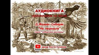 Аудиокнига. Охота. Приключения. Сибирские рассказы #4 .На перевале. По просьбе слушателей. рассказ.