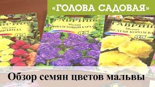 Голова садовая - Обзор семян цветов мальвы