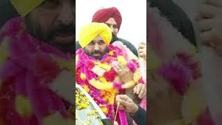 Punjab CM Bhagwant Mann WEDS Gurpreet Kaur | Punjab CM | Herald | HIndustan