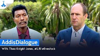 AddisDialogue: With Theo Knight-Jones, #ILRI #livestock