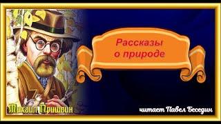 Михаил Пришвин   Рассказы читает Павел Беседин