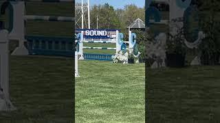 THE GIRL GOT ACCIDENT WHILE PERFORMING HORSE SHOW