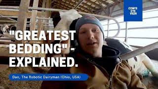 "Greatest (cow) bedding" -- EXPLAINED.