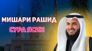 Красивое чтение Корана Сура ЯСИН! Мишари Рашид Аль-Афаси!