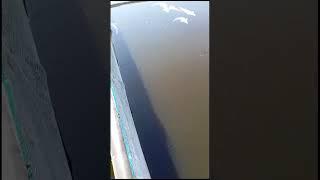 Огромный отход у осетровых #осетроваяферма #белугафиш #рыба