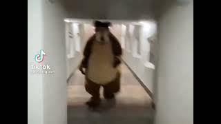 Bear Chasing Person Down Hall Compilation Memes Running