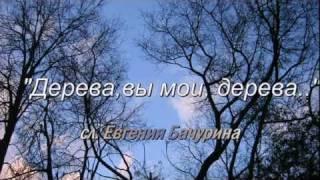 Дерева , вы мои дерева..(сл .Евгения Бачурина)