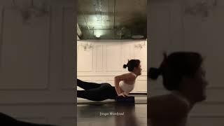 EASY Yoga Poses for Complete Beginners  Yoga With Helen