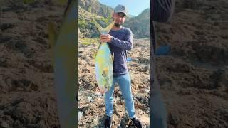 8kg biggest Fish #fishinglife #fish #fisherman #fishing #fishingtour #fishingvideo