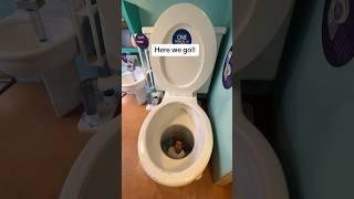 I got flushed down the World’s largest toilet!