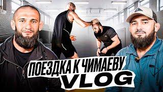 BADAEV VLOG #1: Хамзат Чимаев - меня подставили| Уиттакер-Алискеров, следующий Коста или Стриклэнд?