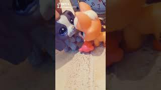 LPS: Dilemma  ( random video 1/700 )