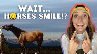 How I Teach My Horse to Smile in 3 SIMPLE steps! – Educational Farm Videos