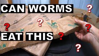 Unbelievable! African Night Crawlers Eating Packaging Blankets